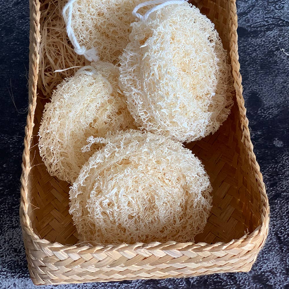 Loofah
